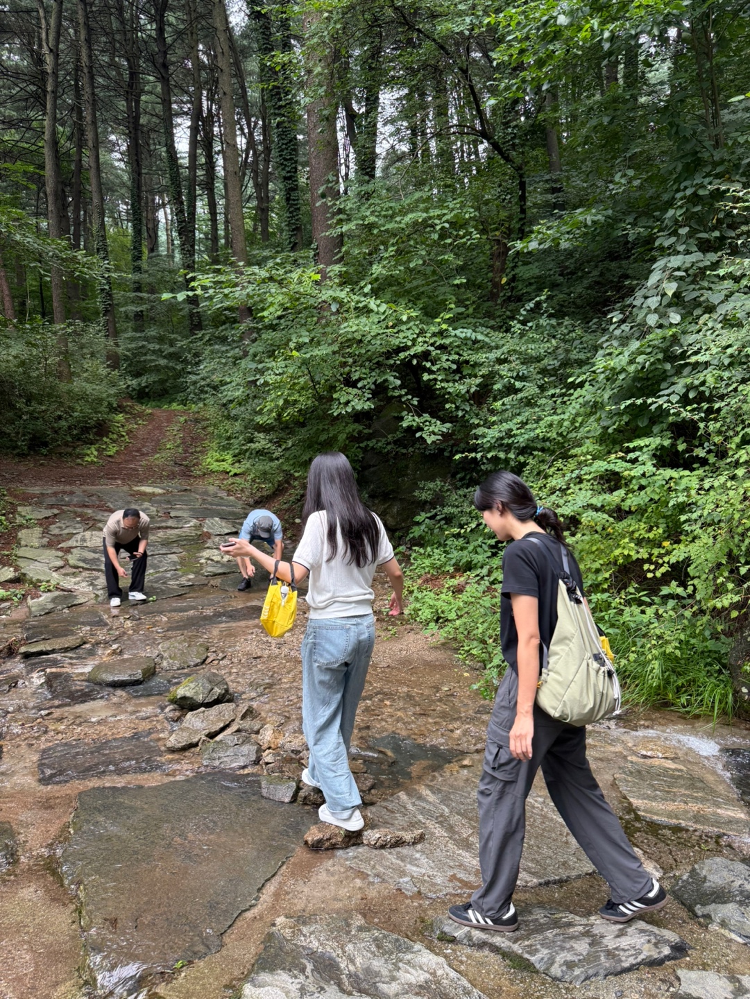 IMG_7638 2025-08-16.jpeg