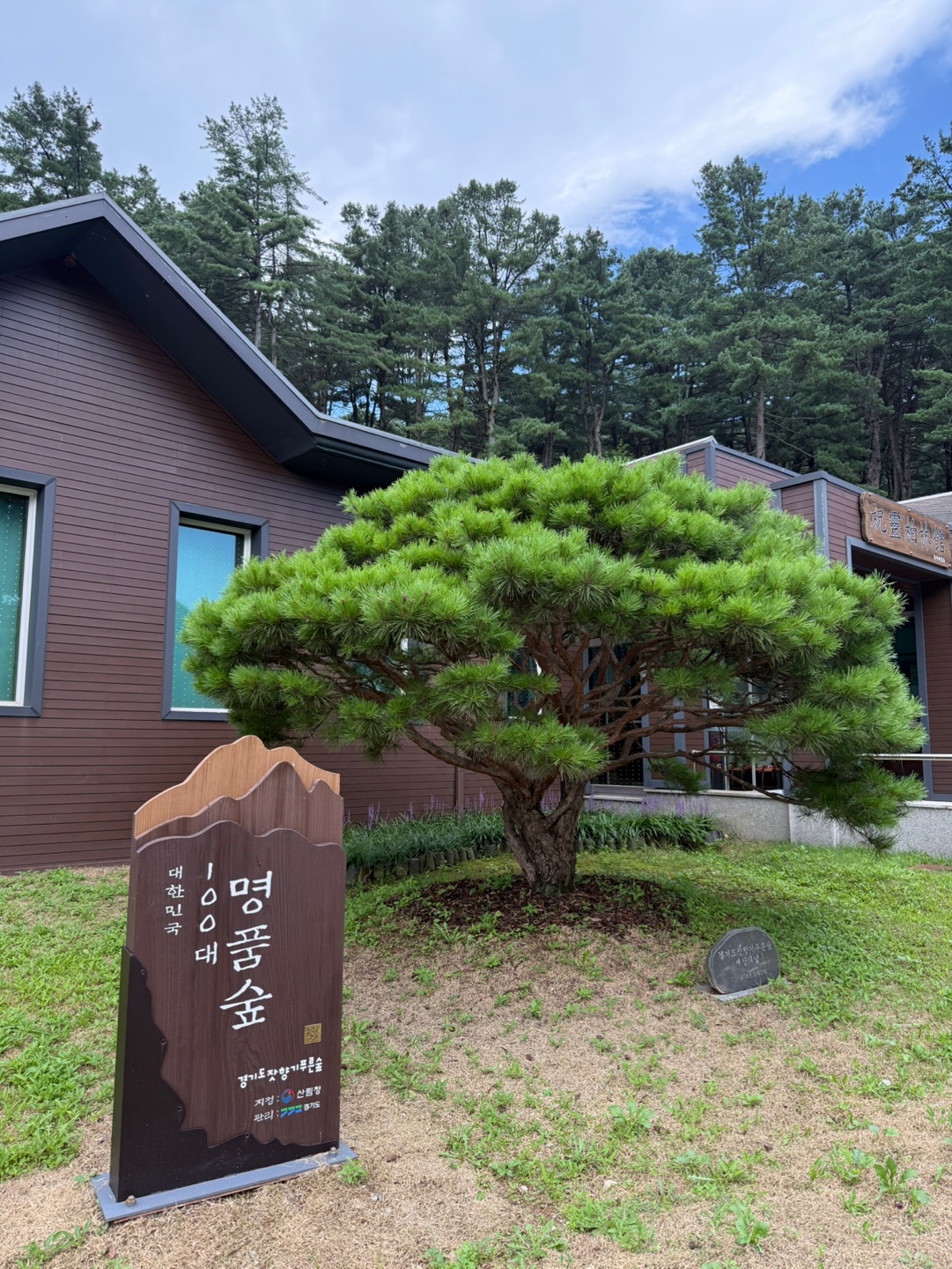 IMG_7646 2025-08-16.jpeg