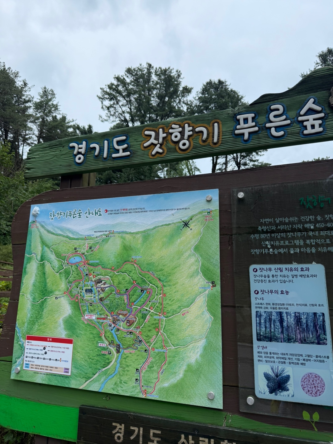 IMG_7649 2025-08-16.jpeg