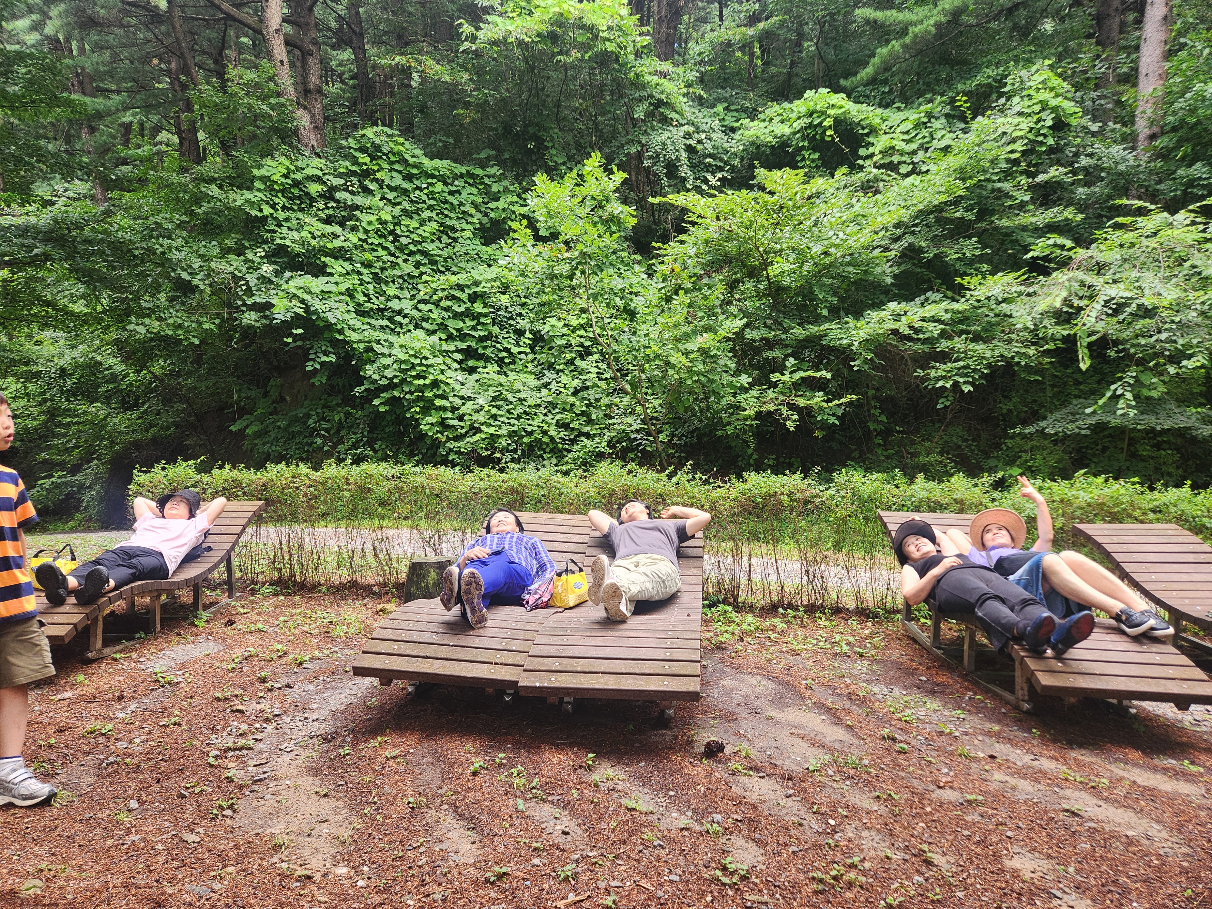 IMG_7654 2025-08-16.jpeg