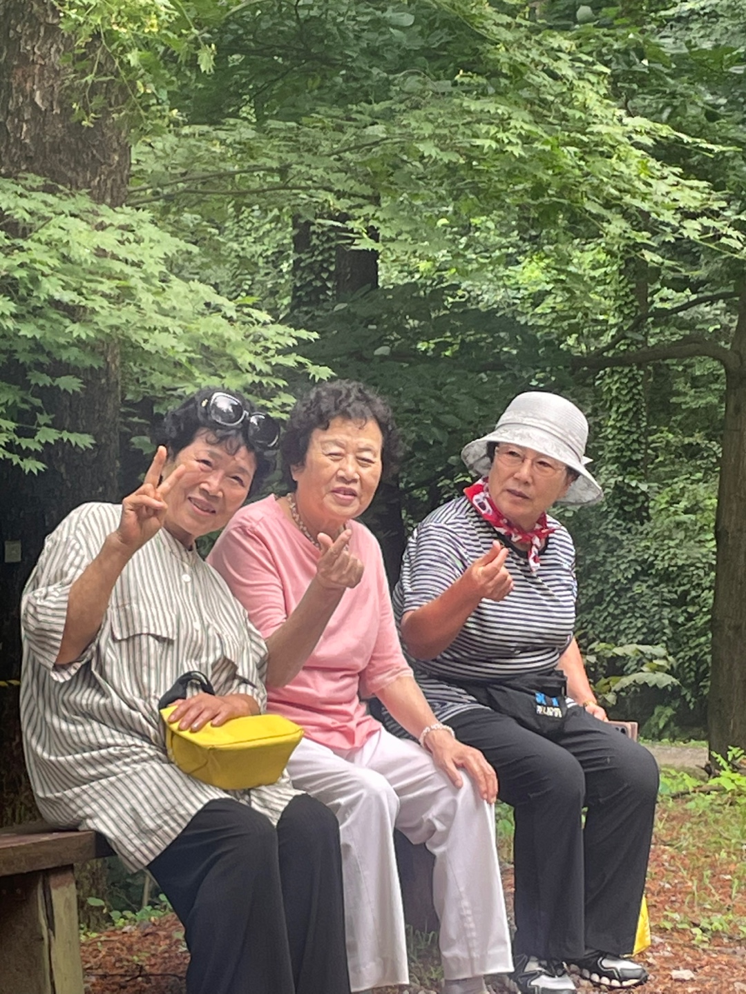 IMG_7660 2025-08-16.jpeg