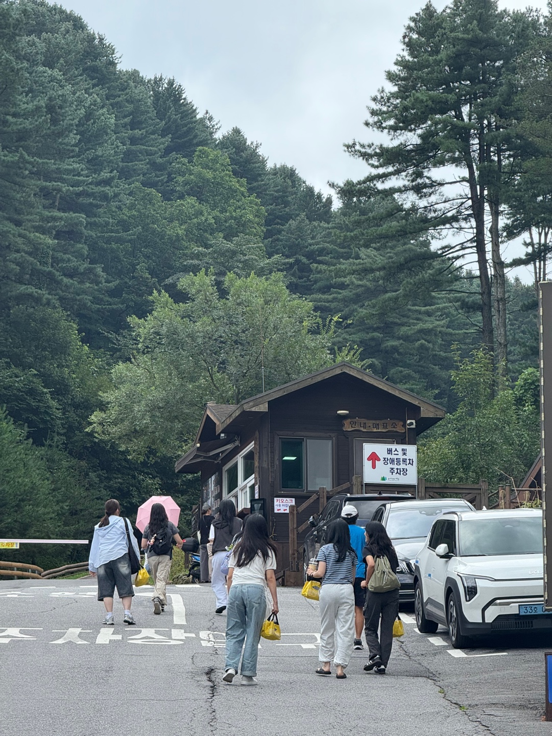 IMG_7703 2025-08-16.jpeg